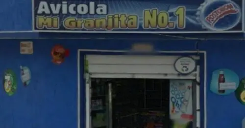 AVICOLA MI GRANJITA NO 1 AVICOLA MI GRANJITA NO 1